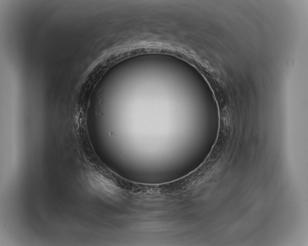 X0000116641495200912141225