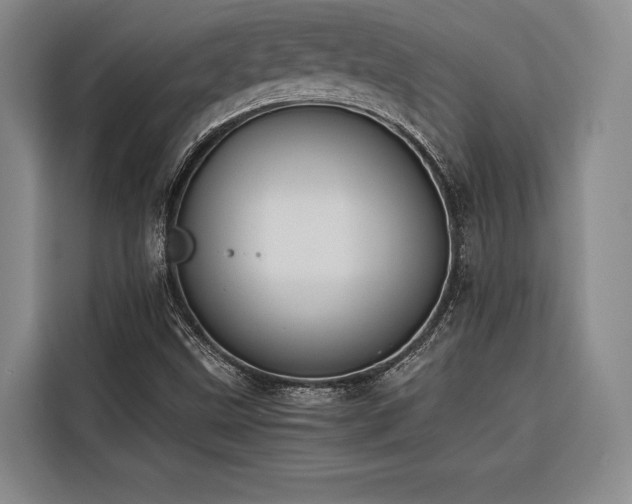 X0000116641499200912141225