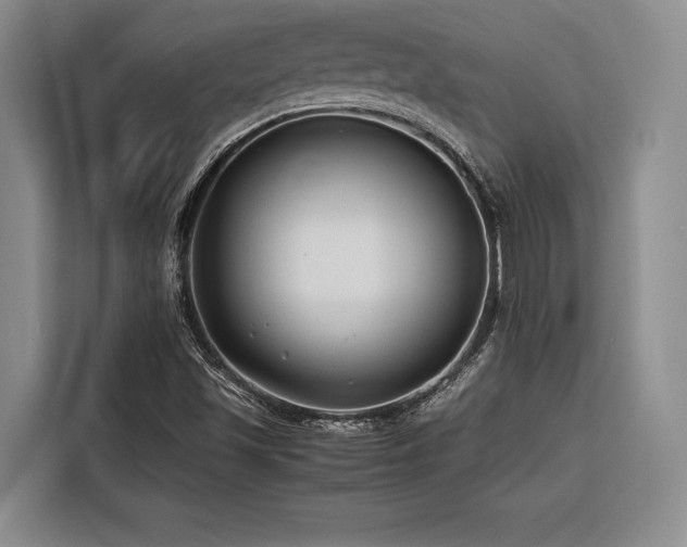 X0000116641501200912141225