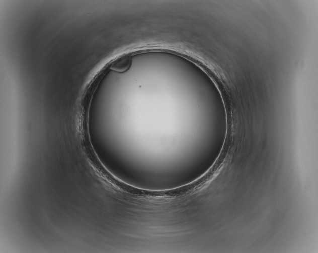 X0000116641502200912141225