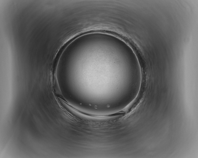 X0000116641505200912141225