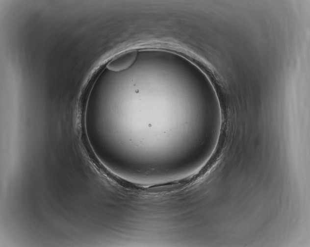 X0000116641506200912141225