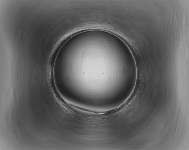 X0000116641507200912141225