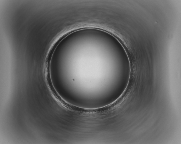 X0000116641511200912141225