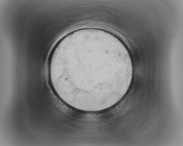 X0000116641514200912141225