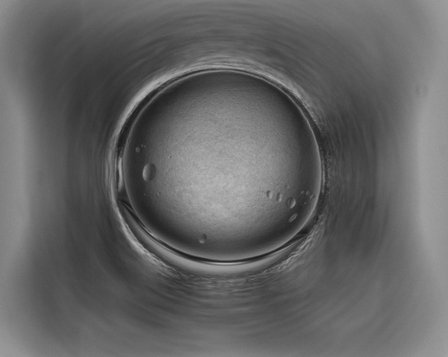 X0000116641515200912141225