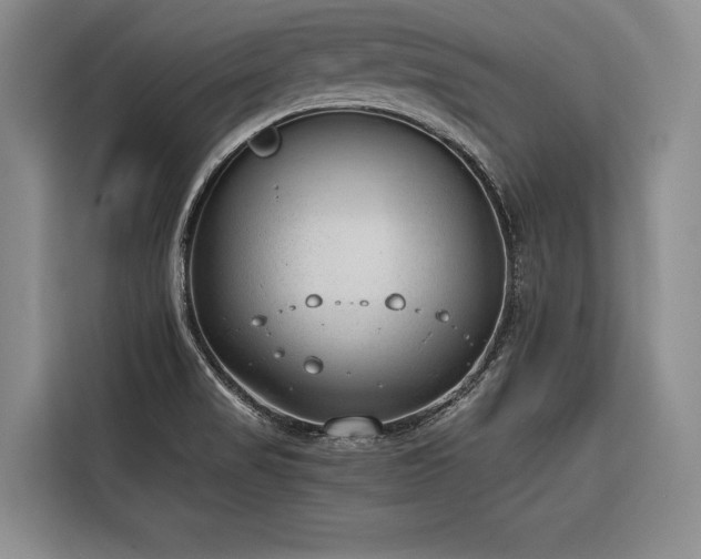 X0000116641517200912141225