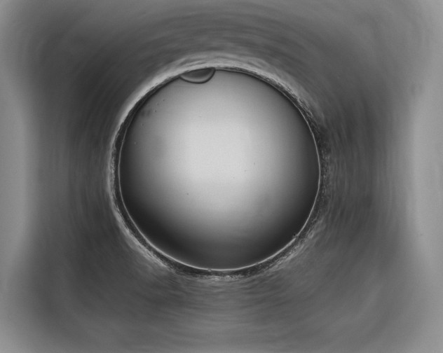 X0000116641518200912141225