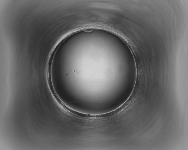 X0000116641523200912141225