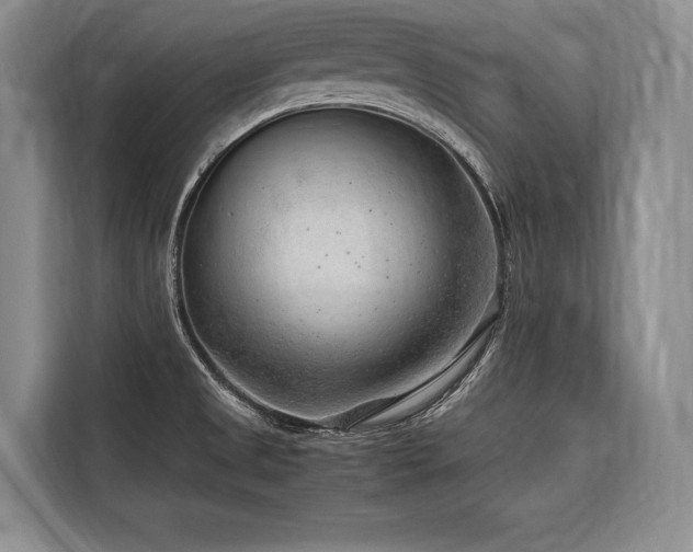 X0000116641525200912141225