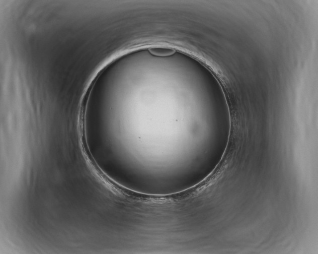 X0000116641526200912141225