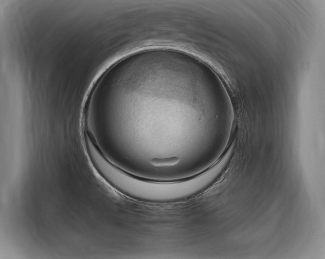 X0000116641527200912141225