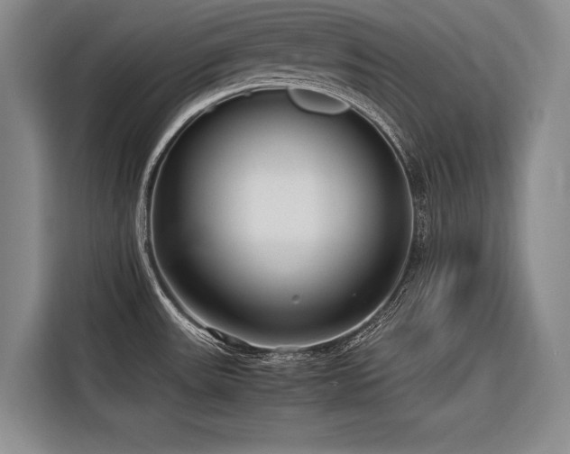 X0000116641531200912141225