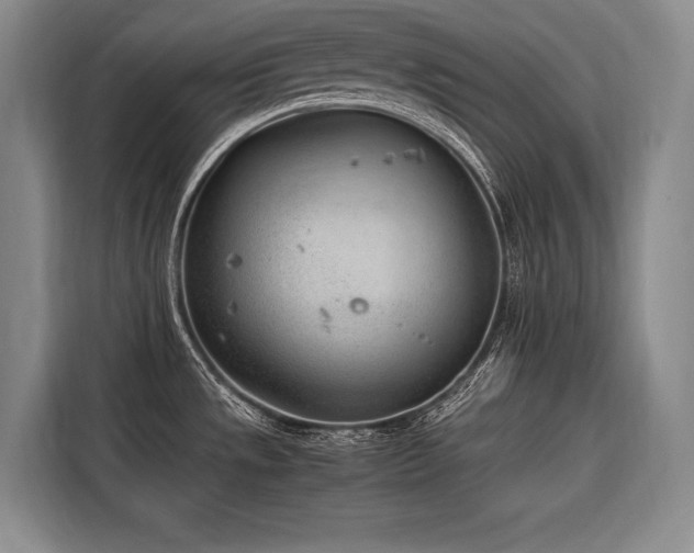 X0000116641533200912141225