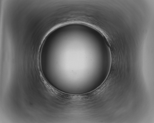 X0000116641534200912141225