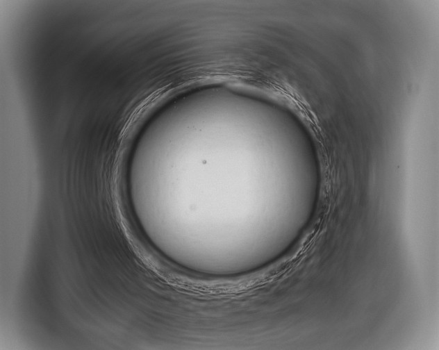 X0000116640001200912211017