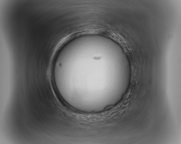 X0000116640003200912211017