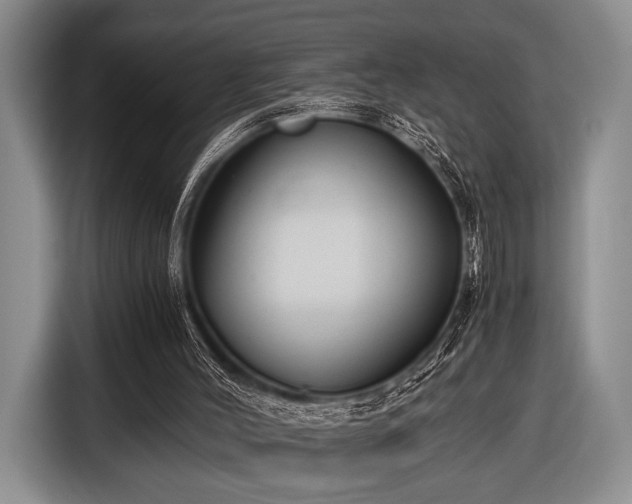 X0000116640004200912211017