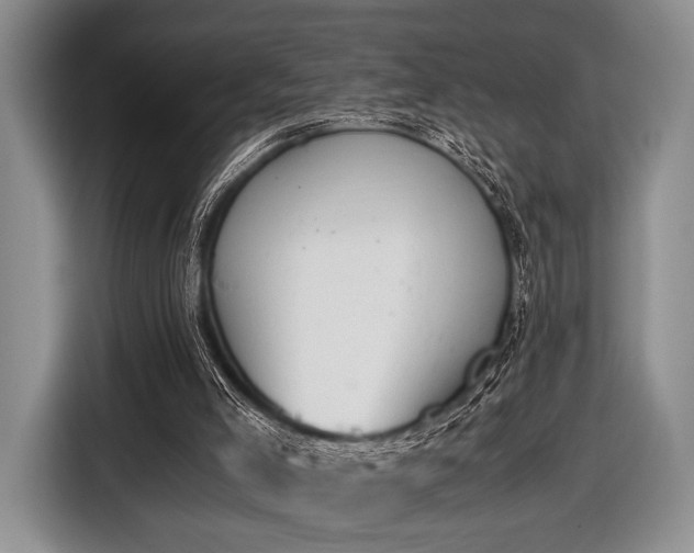 X0000116640005200912211017