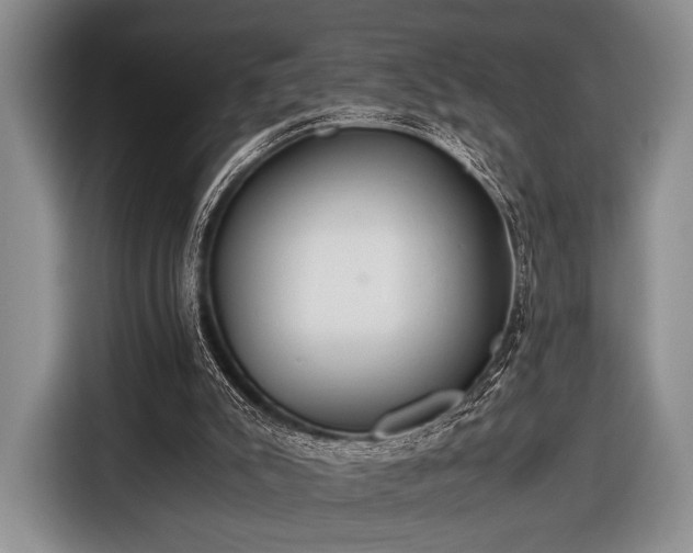 X0000116640007200912211017