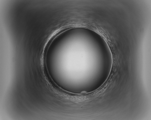 X0000116640008200912211017