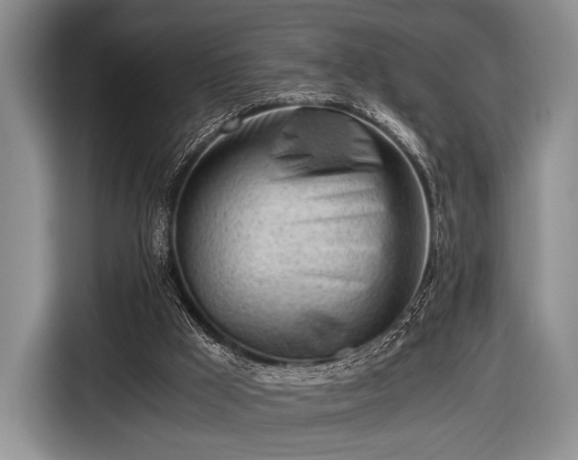 X0000116640009200912211017