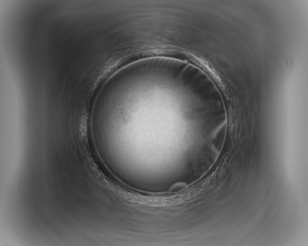 X0000116640010200912211016