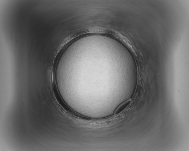 X0000116640011200912211016