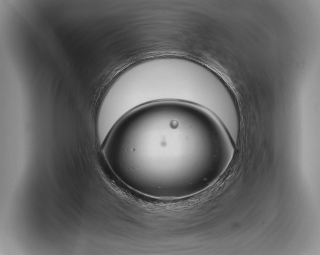 X0000116640013200912211016