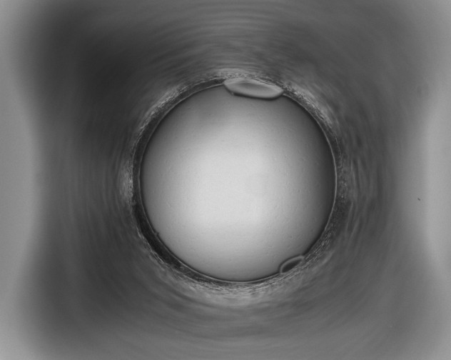 X0000116640015200912211016