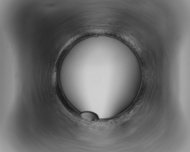 X0000116640016200912211016