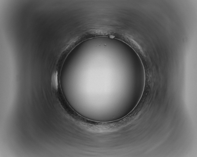 X0000116640020200912211016