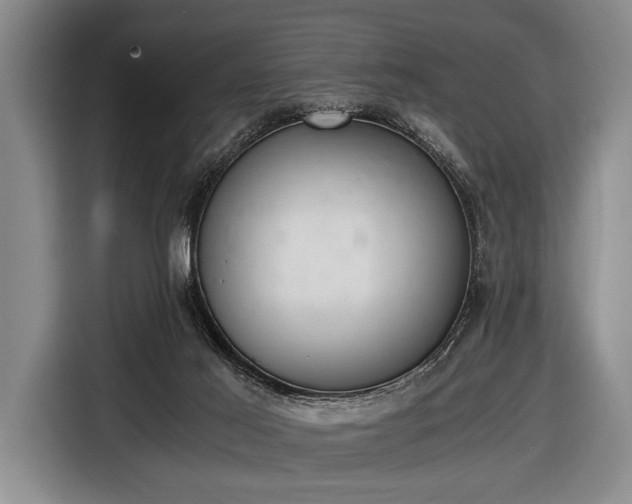 X0000116640021200912211015