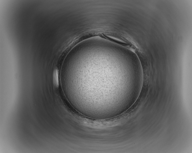 X0000116640022200912211015