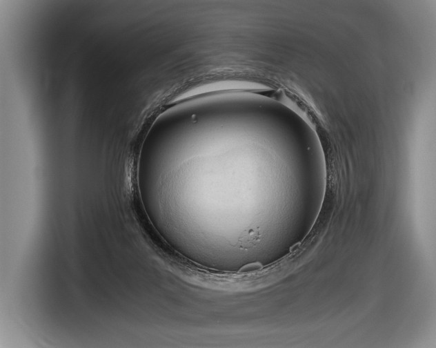 X0000116640023200912211015