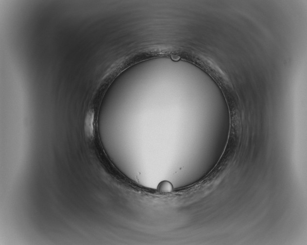 X0000116640024200912211015