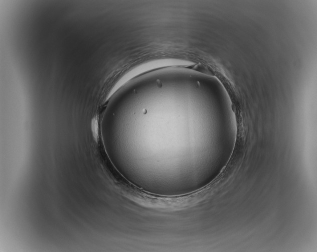 X0000116640027200912211015