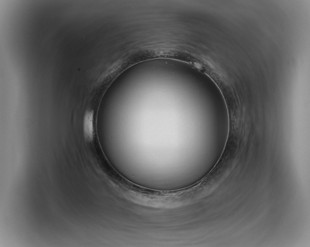 X0000116640028200912211015