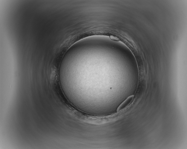 X0000116640029200912211015