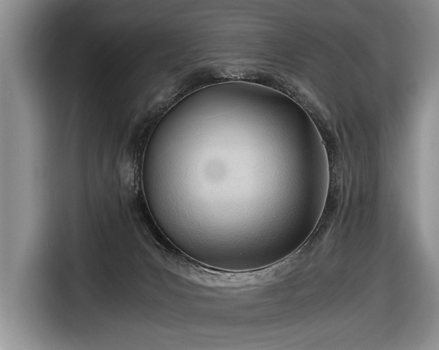 X0000116640031200912211015