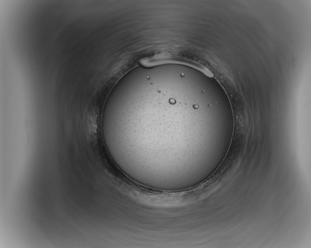 X0000116640032200912211015