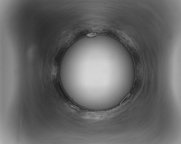 X0000116640033200912211015