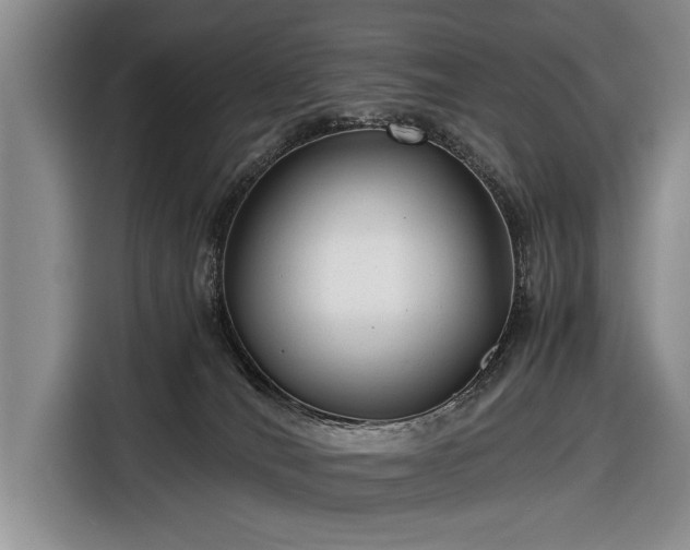 X0000116640036200912211015