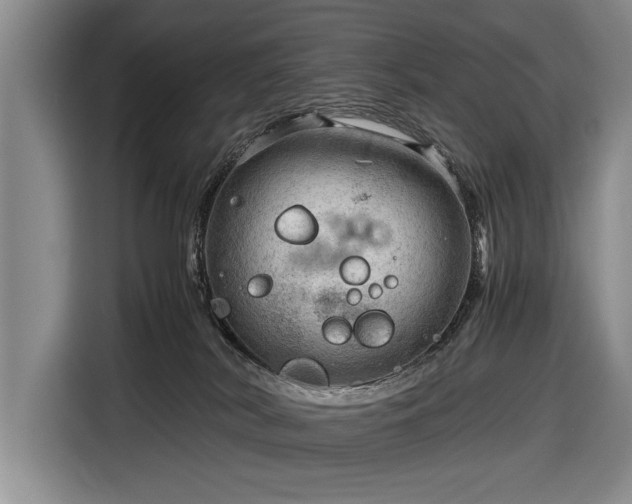 X0000116640038200912211015