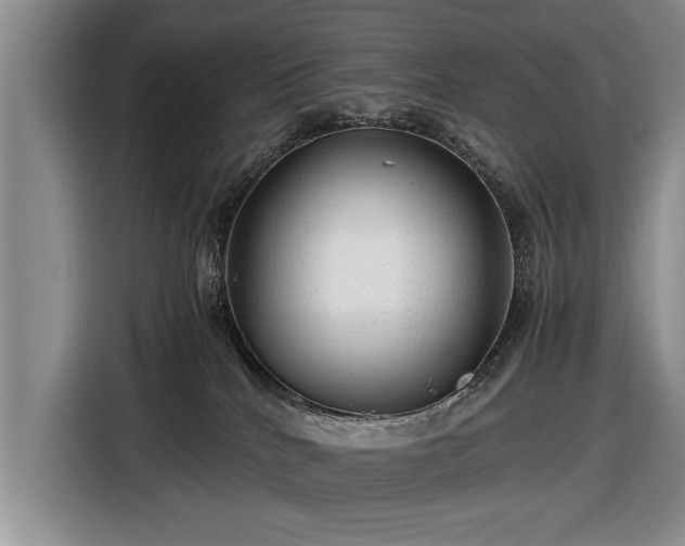 X0000116640040200912211015