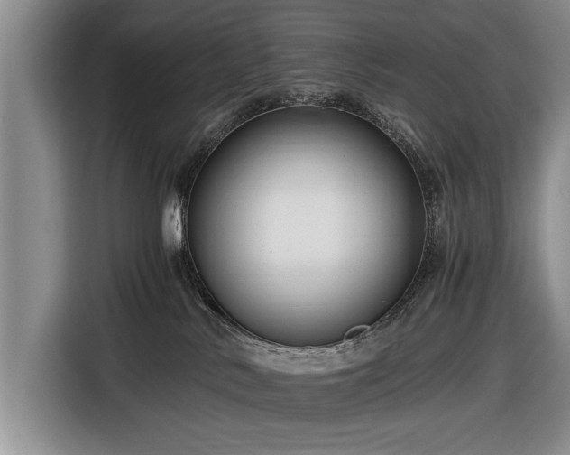 X0000116640042200912211015