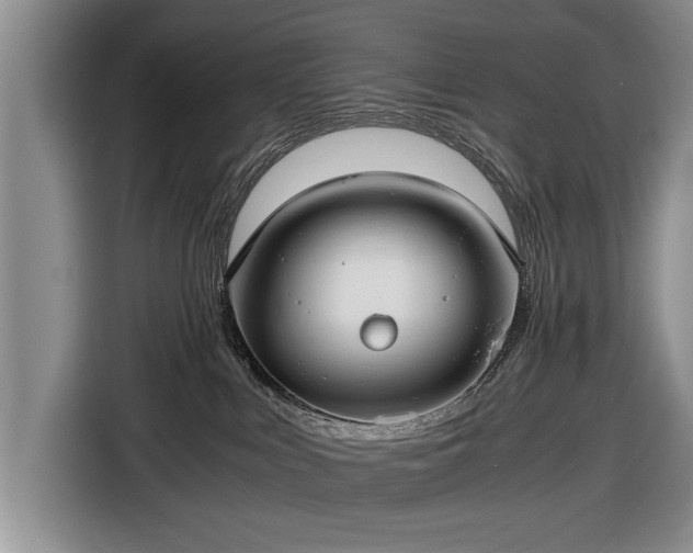 X0000116640043200912211015