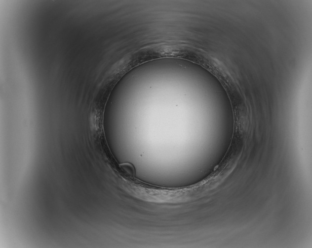 X0000116640044200912211015