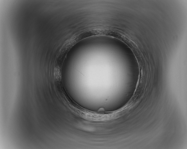 X0000116640048200912211015