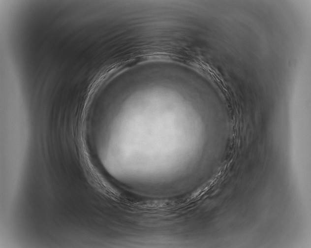 X0000116640049200912211014